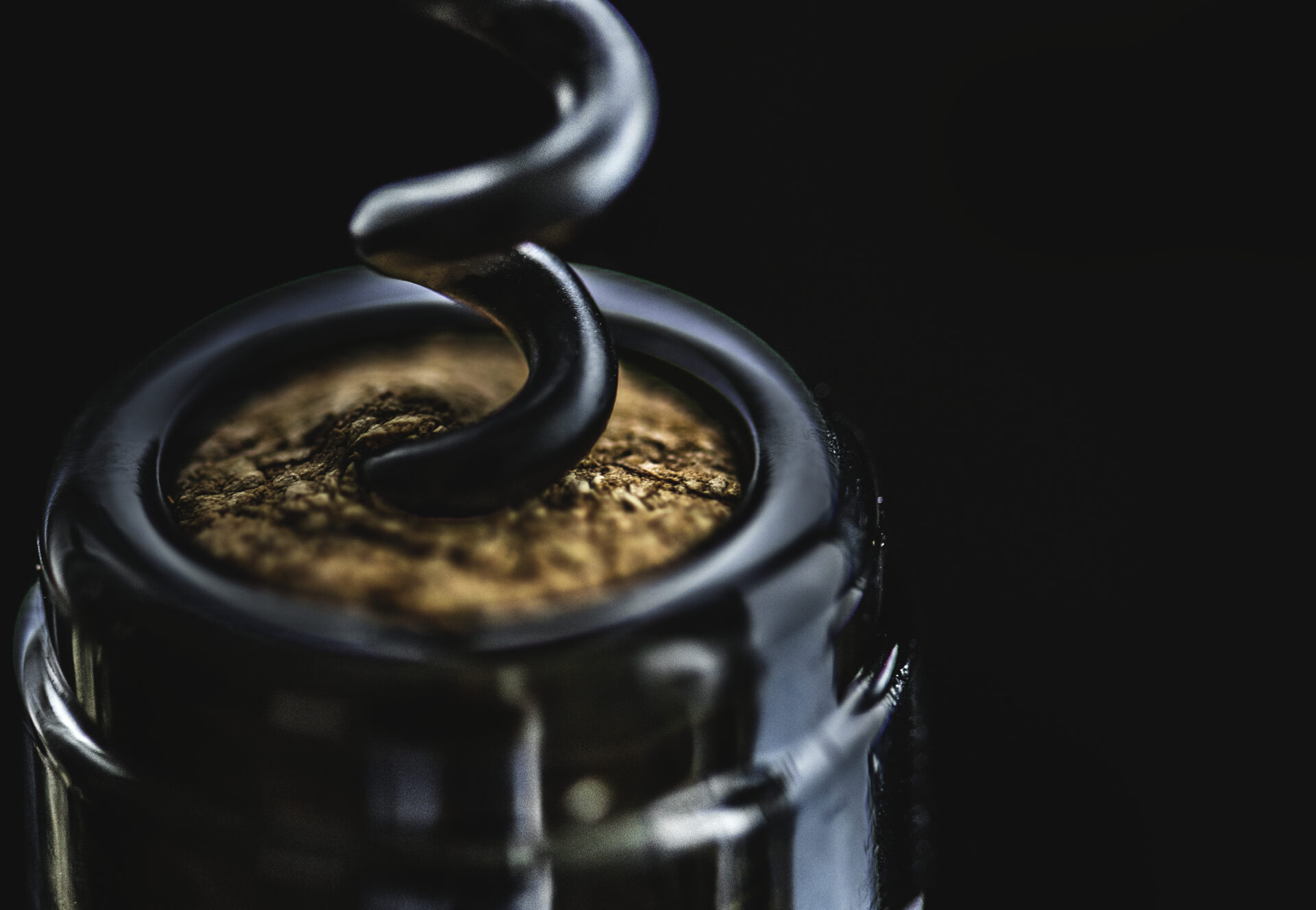 Service du vin illustrant les prochains rendez-vous de l’UDSF